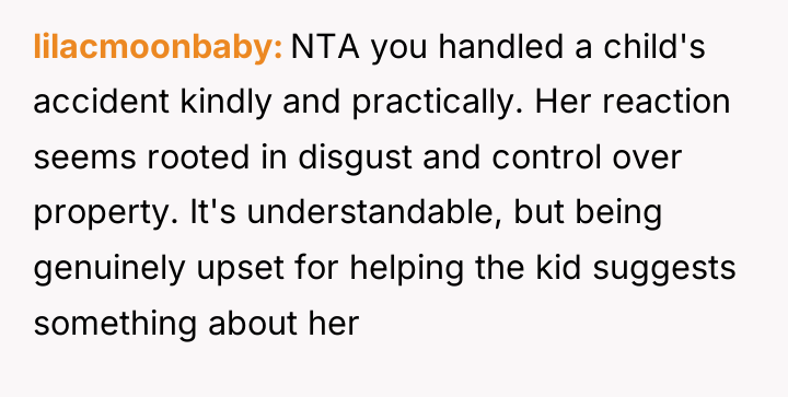 lilacmoonbaby NTA you handled a child's accident kindly and practically....