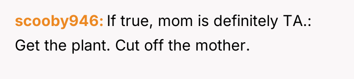 scooby946 If true, mom is definitely TA.: Get the plant....