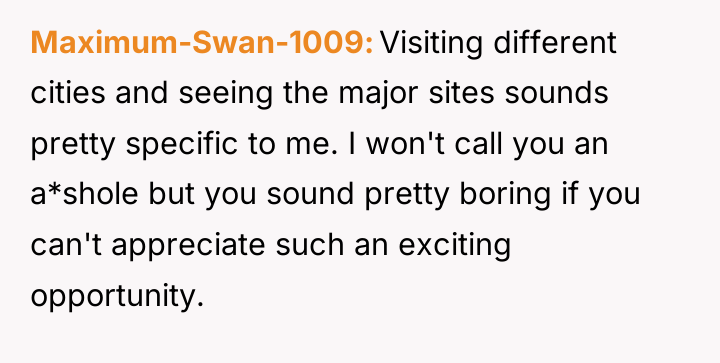 Maximum-Swan-1009 Visiting different cities and seeing the major sites sounds...