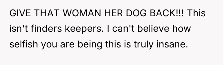 GIVE THAT WOMAN HER DOG BACK!!! This isn't finders keepers....
