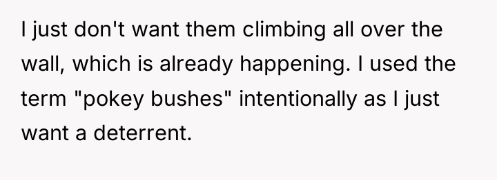 I just don't want them climbing all over the wall,...