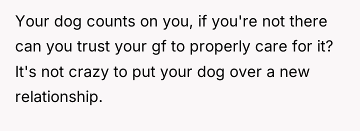Your dog counts on you, if you're not there can...