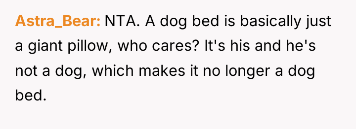 Astra_Bear NTA. A dog bed is basically just a giant...