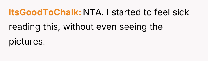 ItsGoodToChalk NTA. I started to feel sick reading this, without...