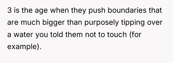 3 is the age when they push boundaries that are...
