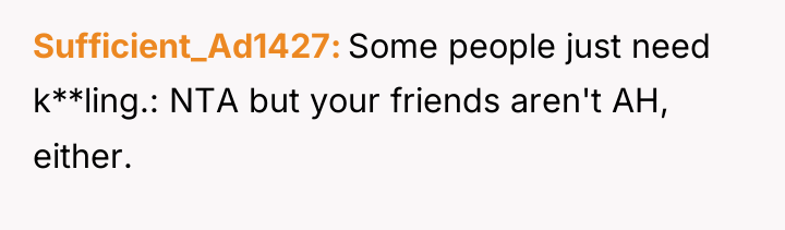 Sufficient_Ad1427 Some people just need k**ling.: NTA but your friends...