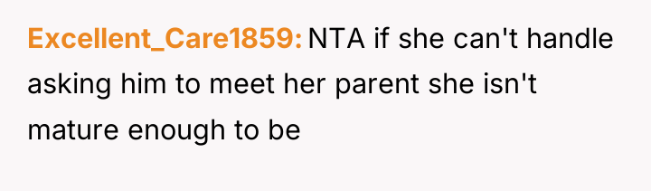 Excellent_Care1859 NTA if she can't handle asking him to meet...