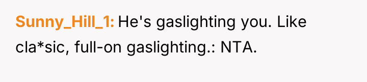 Sunny_Hill_1 He's gaslighting you. Like cla*sic, full-on gaslighting.: NTA.