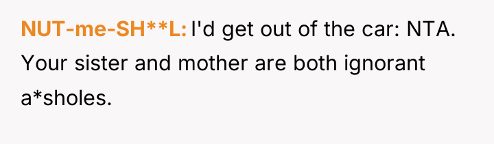 NUT-me-SH**L I'd get out of the car: NTA. Your sister...