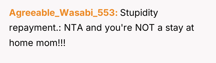 Agreeable_Wasabi_553 Stupidity repayment.: NTA and you're NOT a stay at...