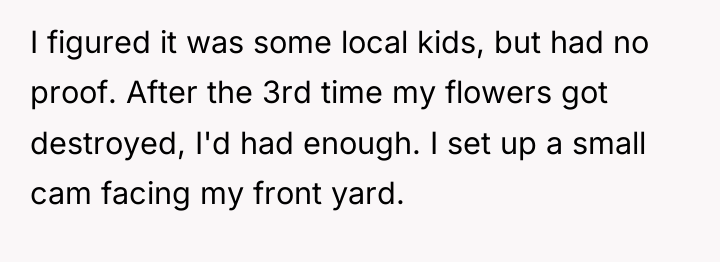I figured it was some local kids, but had no...