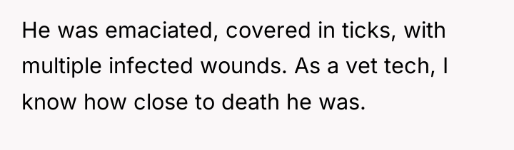 He was emaciated, covered in ticks, with multiple infected wounds....