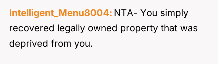 Intelligent_Menu8004 NTA- You simply recovered legally owned property that was...