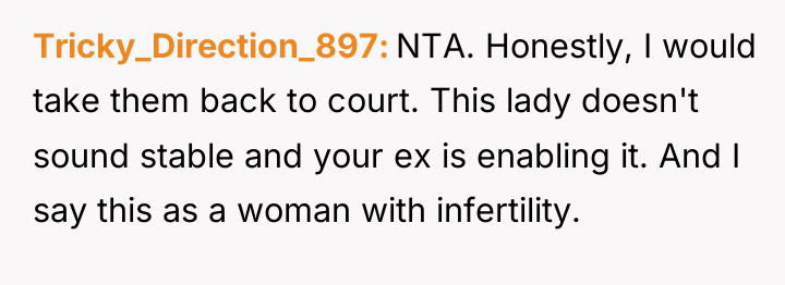 Tricky_Direction_897 NTA. Honestly, I would take them back to court....