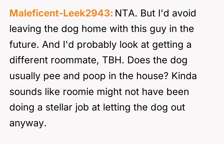 Maleficent-Leek2943 NTA. But I'd avoid leaving the dog home with...