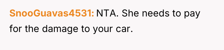 SnooGuavas4531 NTA. She needs to pay for the damage to...