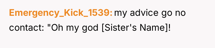 Emergency_Kick_1539 my advice go no contact: "Oh my god [Sister's...