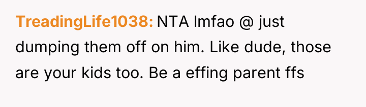 TreadingLife1038 NTA lmfao @ just dumping them off on him....