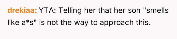 drekiaa YTA: Telling her that her son "smells like a*s"...