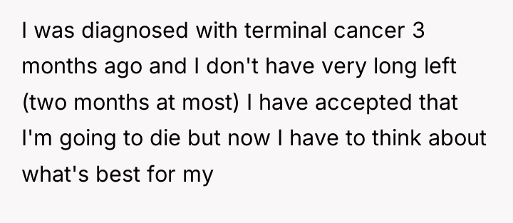I was diagnosed with terminal cancer 3 months ago and...