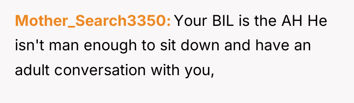 Mother_Search3350 Your BIL is the AH He isn't man enough...