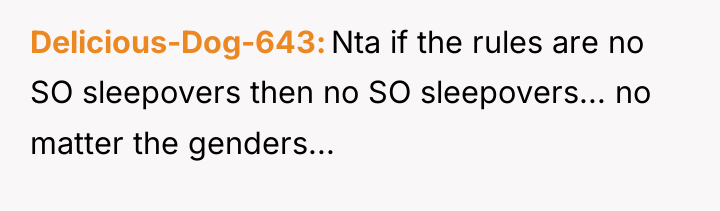Delicious-Dog-643 Nta if the rules are no SO sleepovers then...