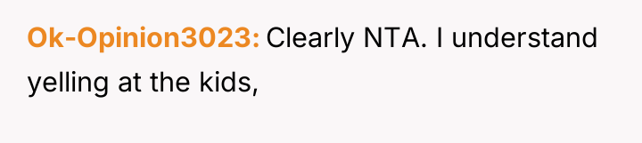 Ok-Opinion3023 Clearly NTA. I understand yelling at the kids,