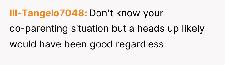 Ill-Tangelo7048 Don't know your co-parenting situation but a heads up...