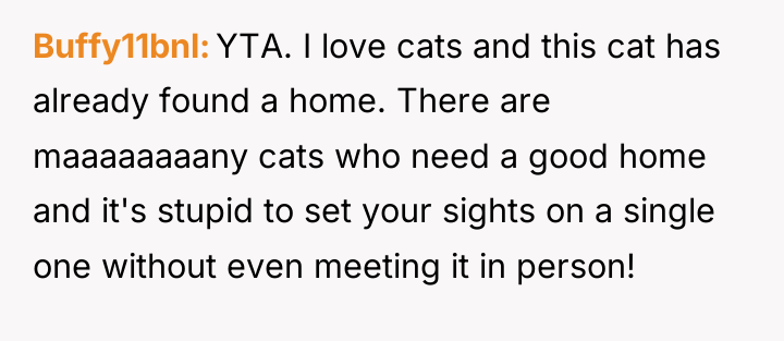 Buffy11bnl YTA. I love cats and this cat has already...
