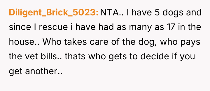 Diligent_Brick_5023 NTA.. I have 5 dogs and since I rescue...