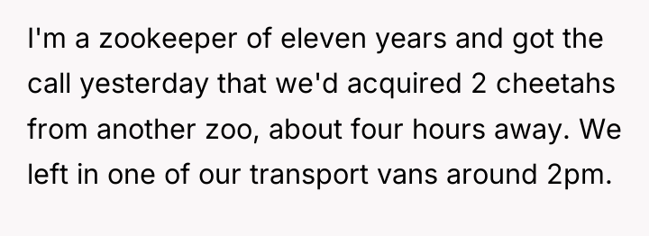 I'm a zookeeper of eleven years and got the call...