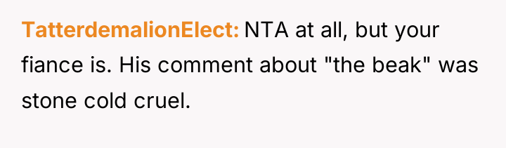 TatterdemalionElect NTA at all, but your fiance is. His comment...