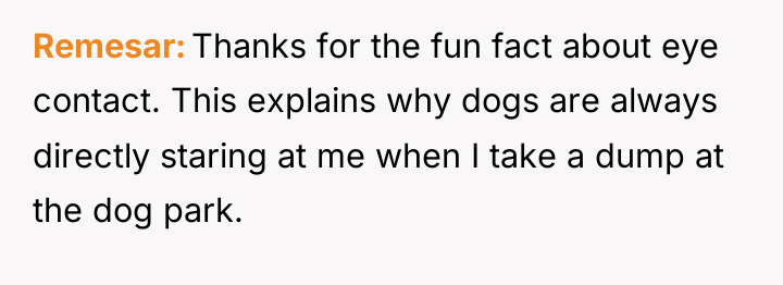 Remesar Thanks for the fun fact about eye contact. This...