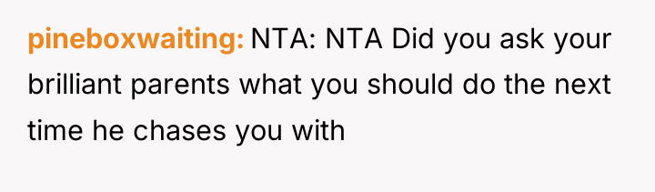 pineboxwaiting NTA: NTA Did you ask your brilliant parents what...