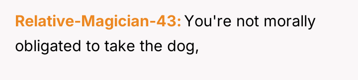 Relative-Magician-43 You're not morally obligated to take the dog,