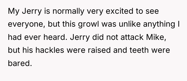 My Jerry is normally very excited to see everyone, but...