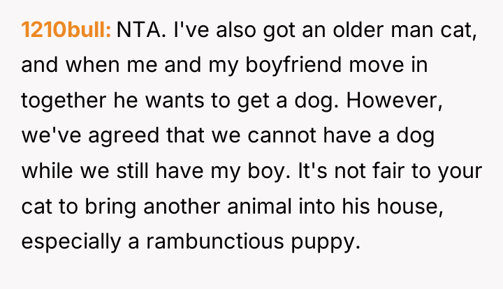 1210bull NTA. I've also got an older man cat, and...