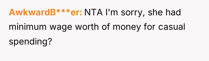 AwkwardB***er NTA I'm sorry, she had minimum wage worth of...