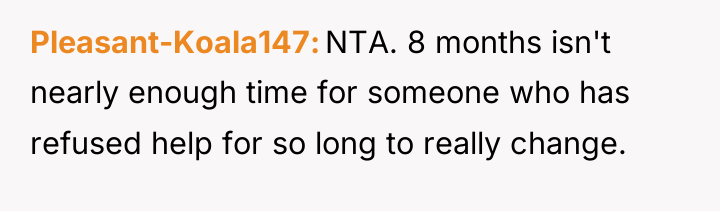 Pleasant-Koala147 NTA. 8 months isn't nearly enough time for someone...
