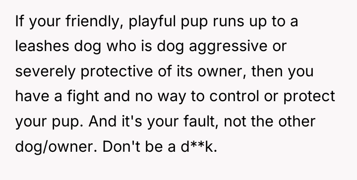 If your friendly, playful pup runs up to a leashes...