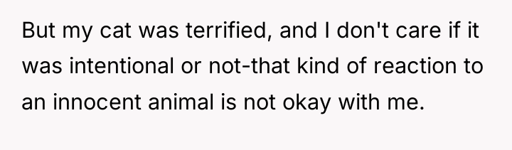 But my cat was terrified, and I don't care if...