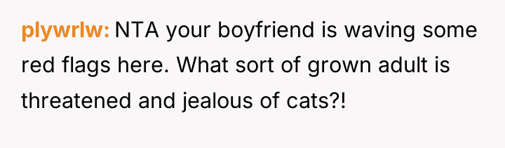 plywrlw NTA your boyfriend is waving some red flags here....