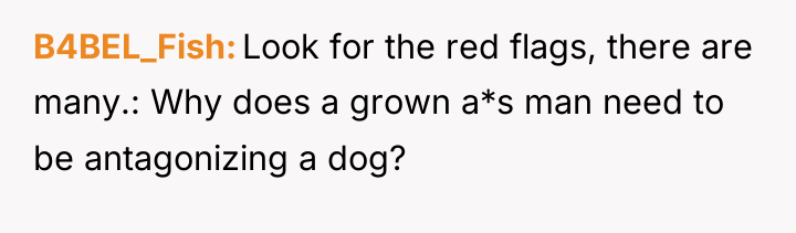 B4BEL_Fish Look for the red flags, there are many.: Why...