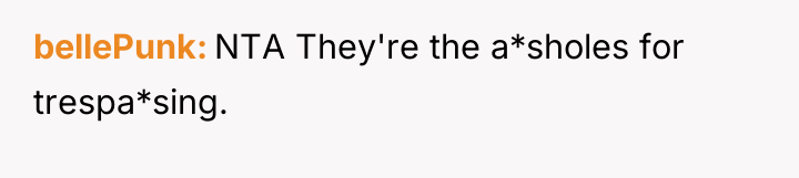 bellePunk NTA They're the a*sholes for trespa*sing.