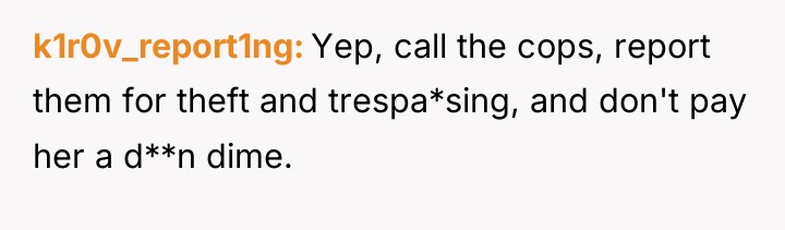 k1r0v_report1ng Yep, call the cops, report them for theft and...