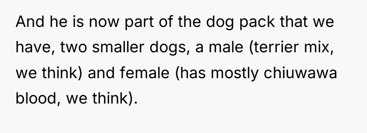 And he is now part of the dog pack that...