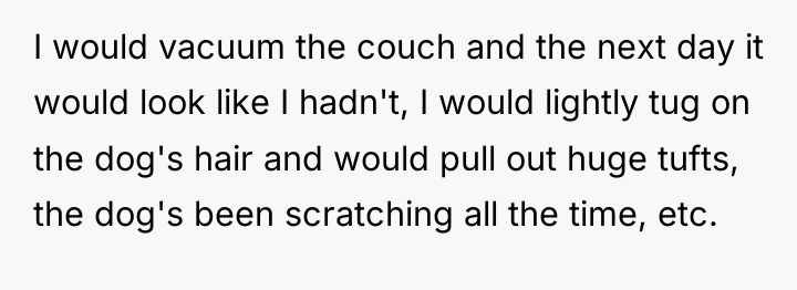 I would vacuum the couch and the next day it...