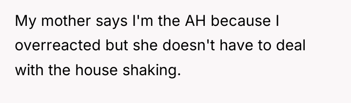 My mother says I'm the AH because I overreacted but...