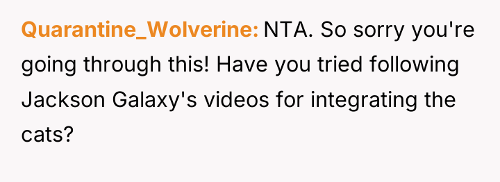 Quarantine_Wolverine NTA. So sorry you're going through this! Have you...