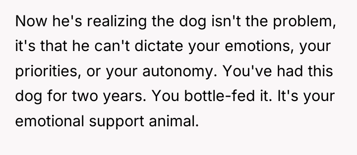 Now he's realizing the dog isn't the problem, it's that...